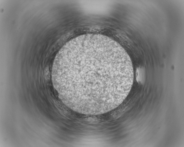 X0000088221395200706121818