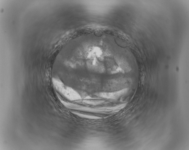 X0000088221397200706121818