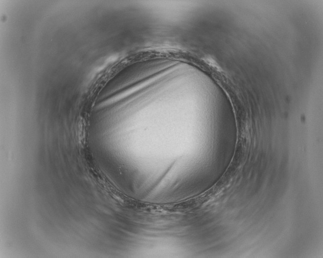 X0000088221398200706121818