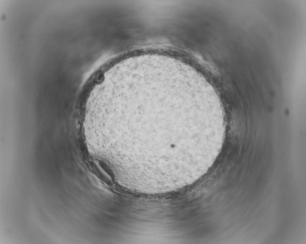 X0000088221400200706121818