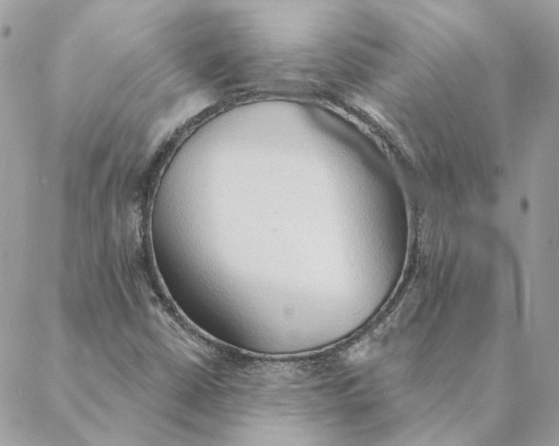 X0000088221402200706121818