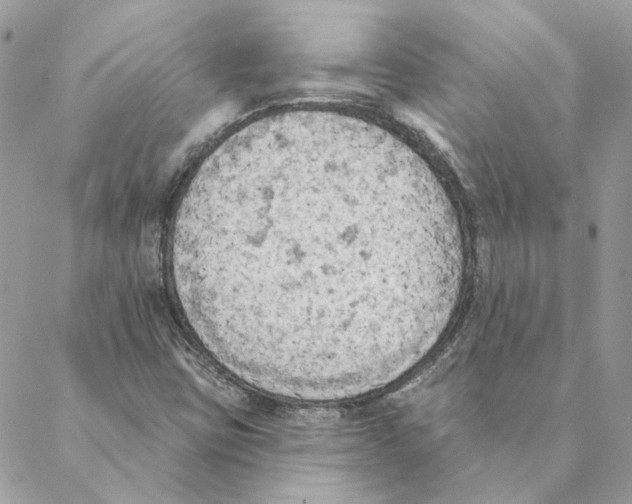 X0000088221403200706121818