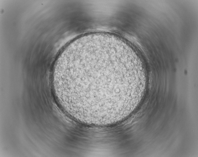 X0000088221404200706121819