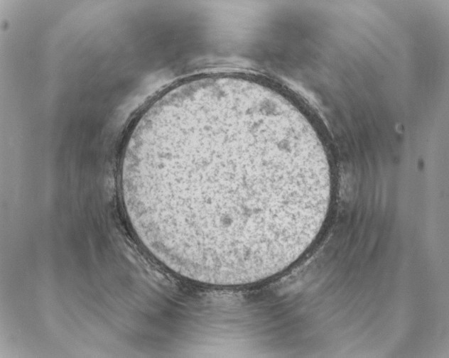 X0000088221407200706121819