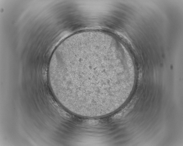 X0000088221409200706121819