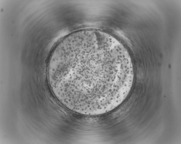 X0000088221411200706121819