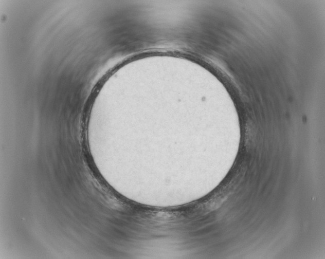 X0000088221412200706121819