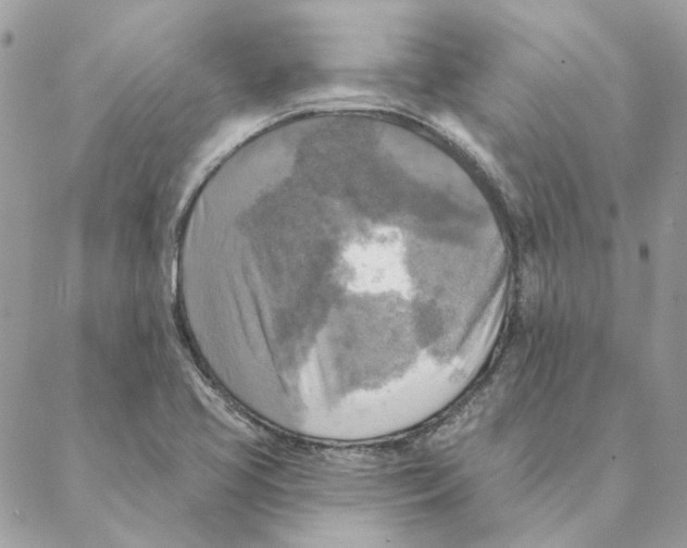 X0000088221413200706121819