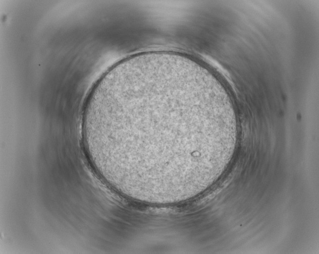 X0000088221415200706121819