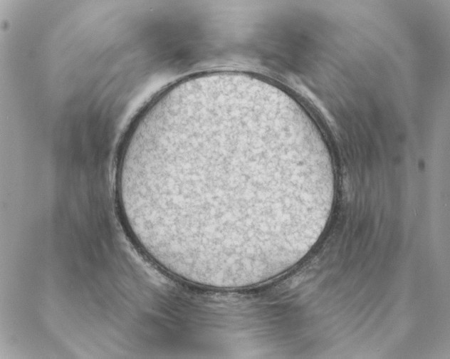 X0000088221416200706121819