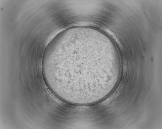 X0000088221417200706121819