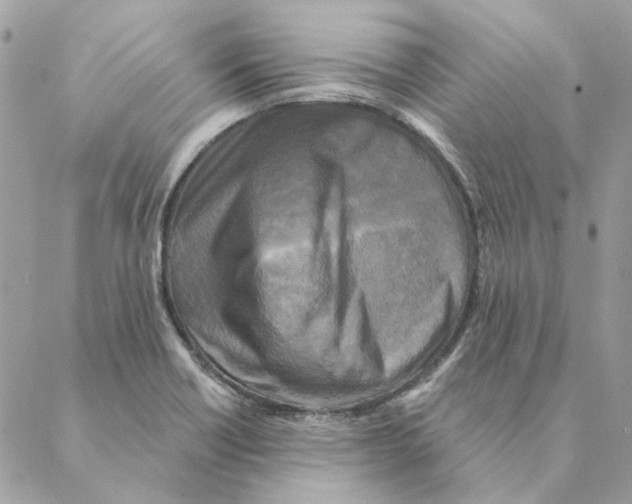 X0000088221418200706121819