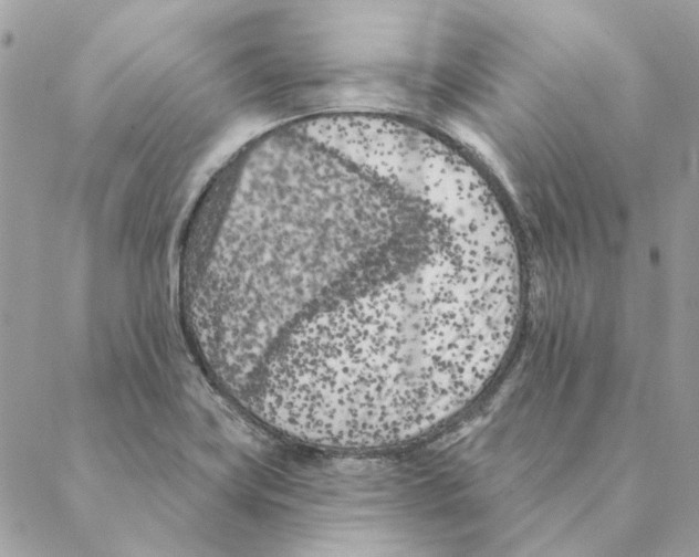 X0000088221419200706121819