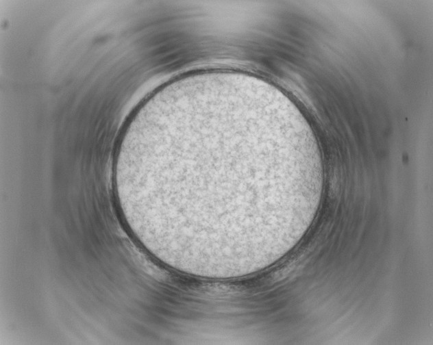 X0000088221420200706121819