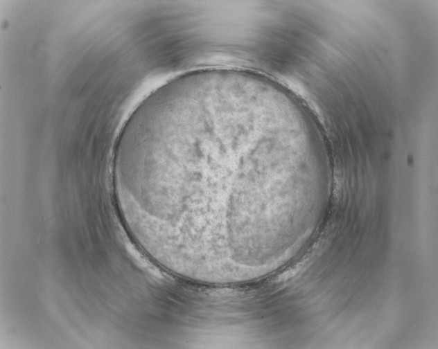 X0000088221421200706121819