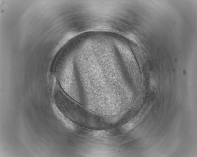 X0000088221422200706121819