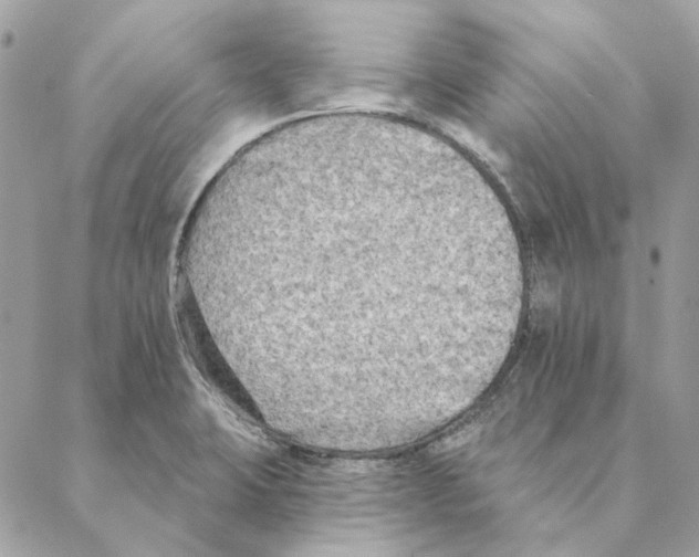 X0000088221423200706121819