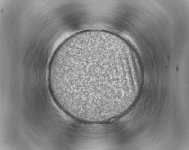 X0000088221424200706121819