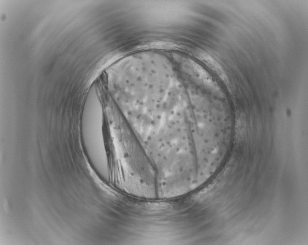 X0000088221425200706121819