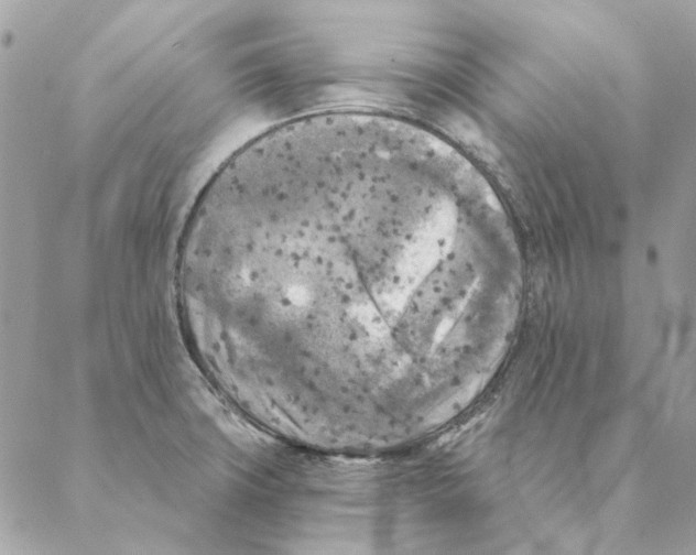 X0000088221427200706121819