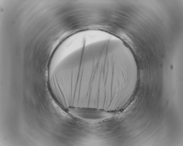 X0000088221428200706121819