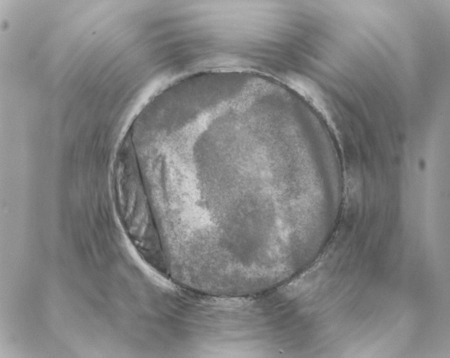 X0000088221429200706121819