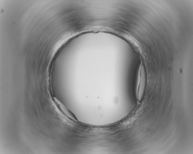 X0000088221430200706121819