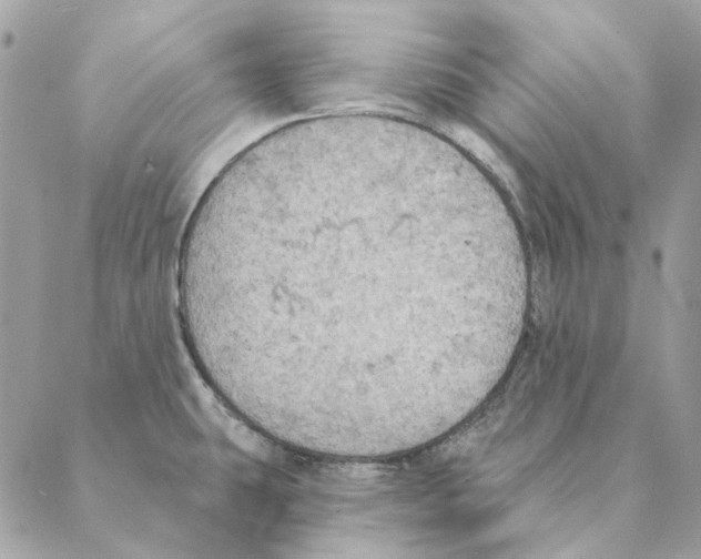 X0000088221431200706121819