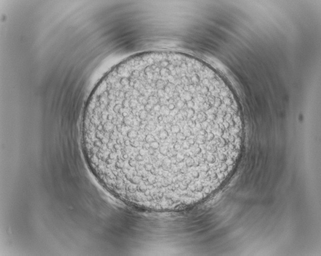 X0000088221432200706121819