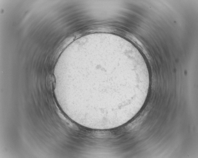 X0000088221433200706121819