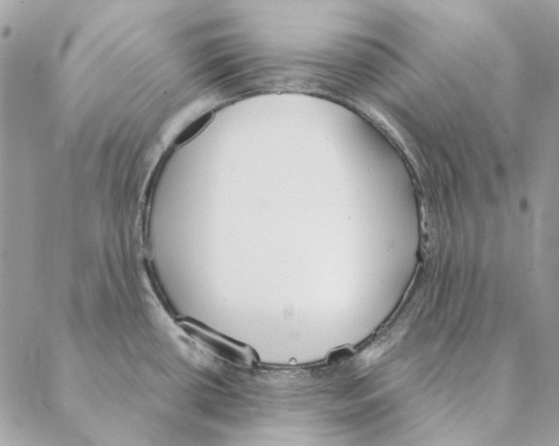 X0000088221434200706121819