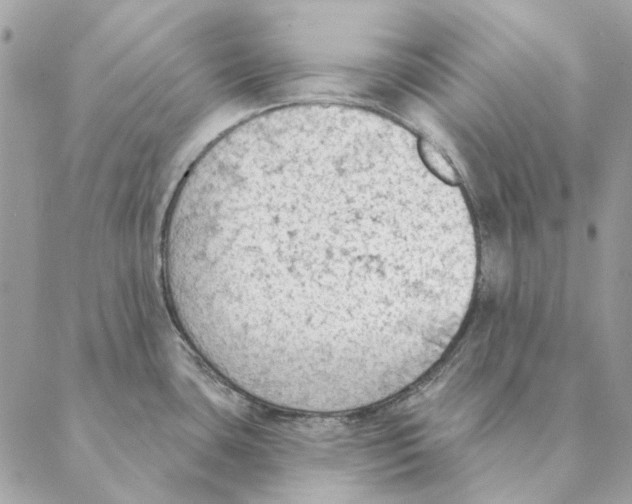 X0000088221435200706121819