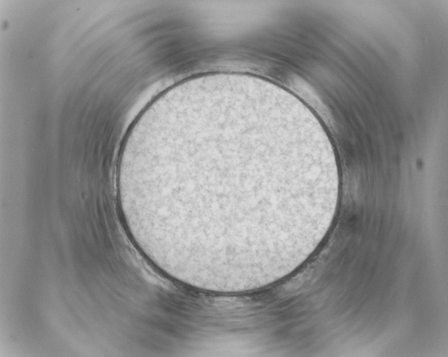 X0000088221436200706121819