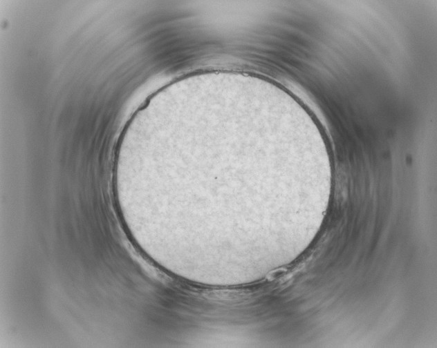 X0000088221437200706121819