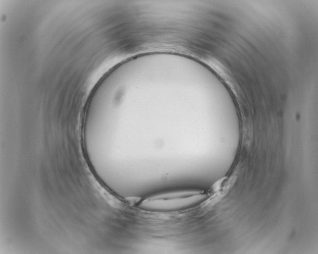 X0000088221438200706121819