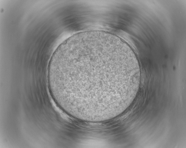 X0000088221439200706121819