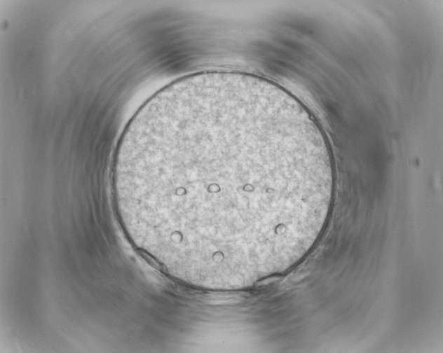 X0000088221440200706121819