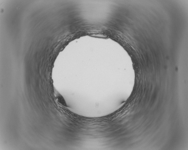 X0000088221441200706121818