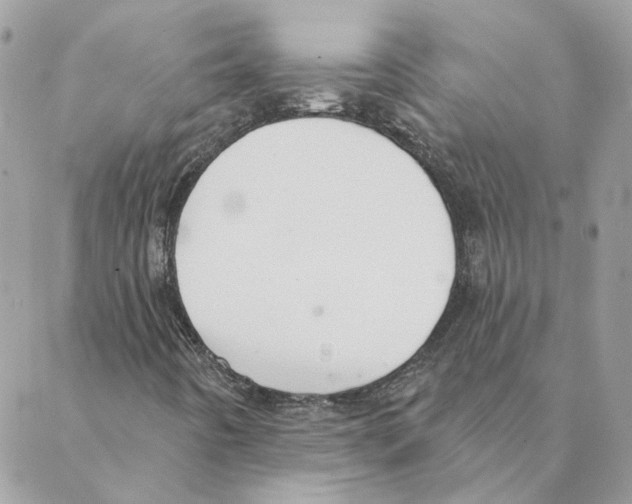 X0000088221442200706121818