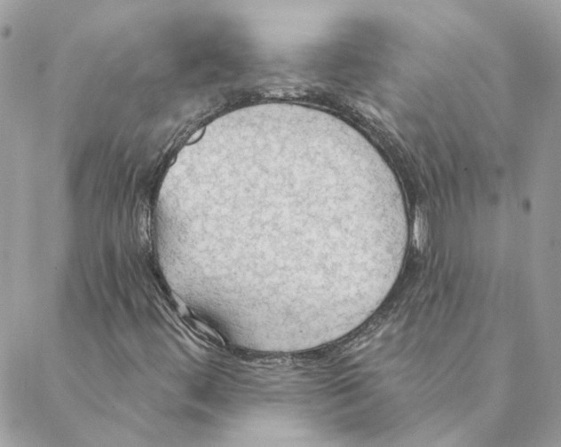 X0000088221444200706121818