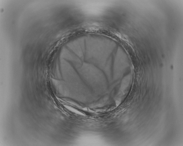 X0000088221445200706121818