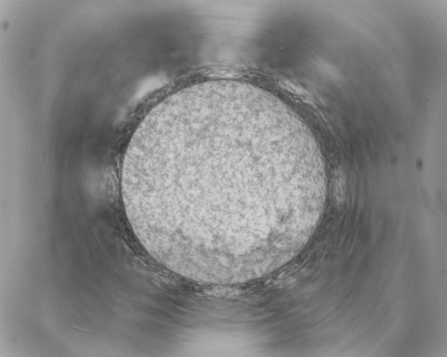 X0000088221446200706121818