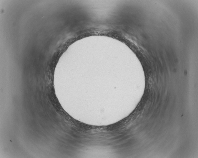 X0000088221447200706121818