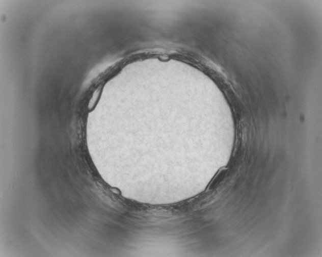 X0000088221448200706121818