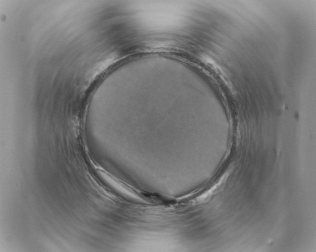 X0000088221449200706121818