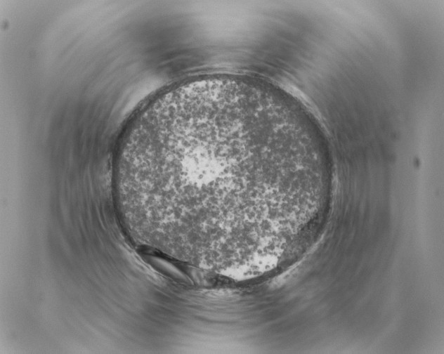 X0000088221450200706121818