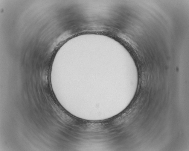 X0000088221451200706121818