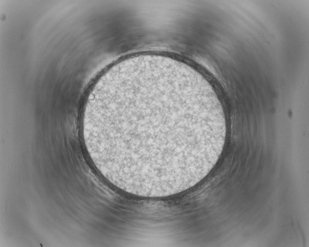 X0000088221452200706121818