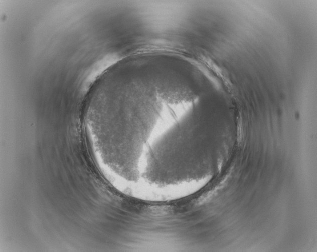 X0000088221453200706121818