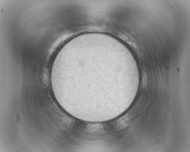 X0000088221454200706121818